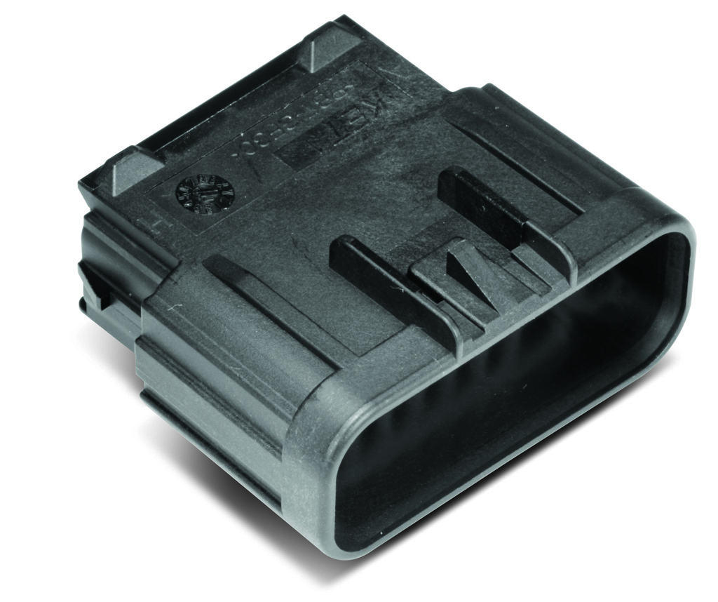 MG654442