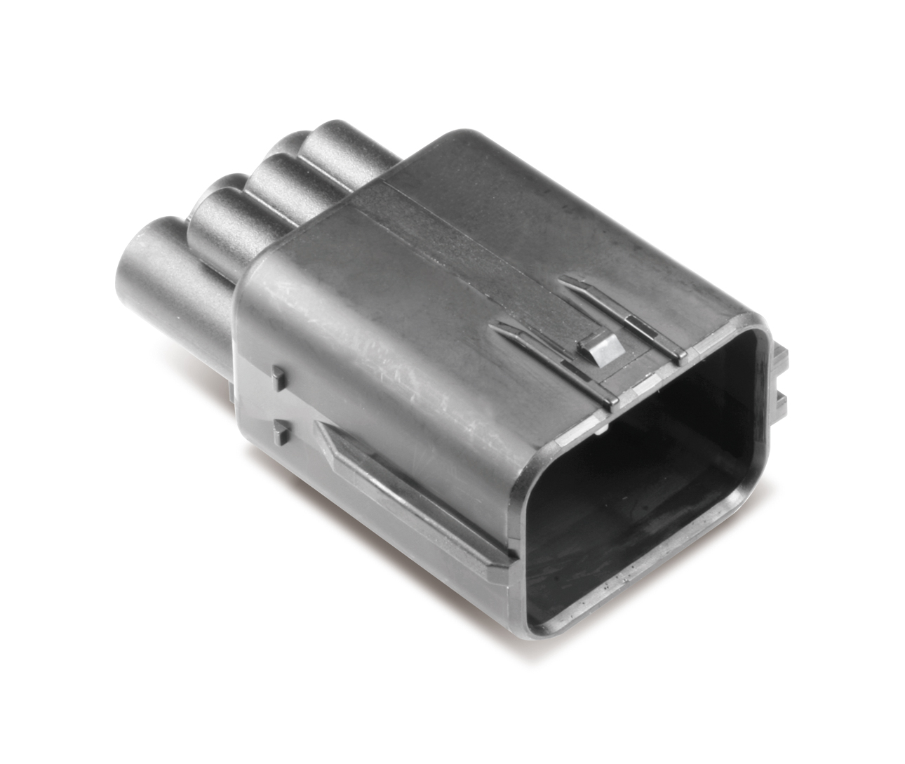 MG646078-5