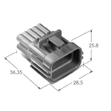 MG613409-5