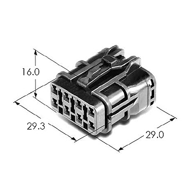 MG610339-4