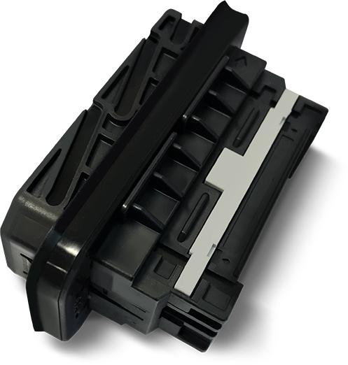 MG646180-5
