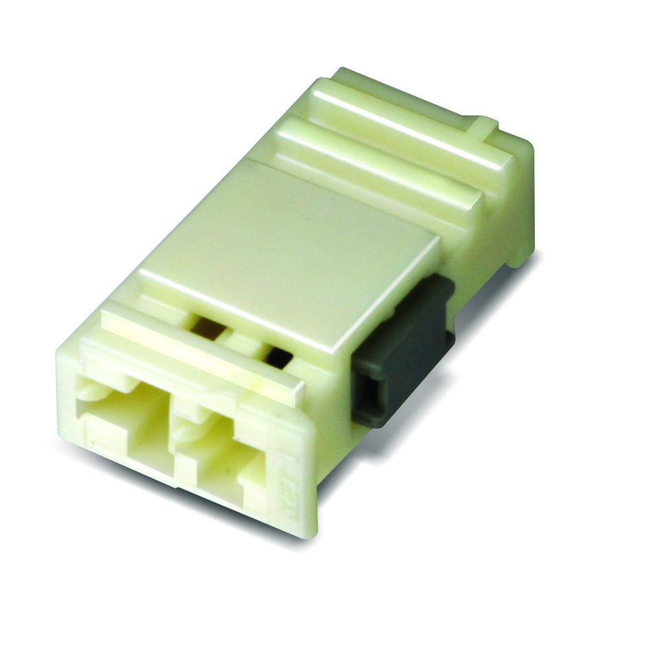 MG654806