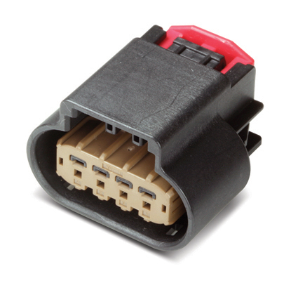 MG644170