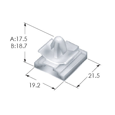 MG631874