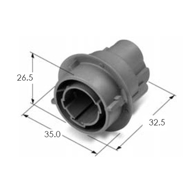 MG631391