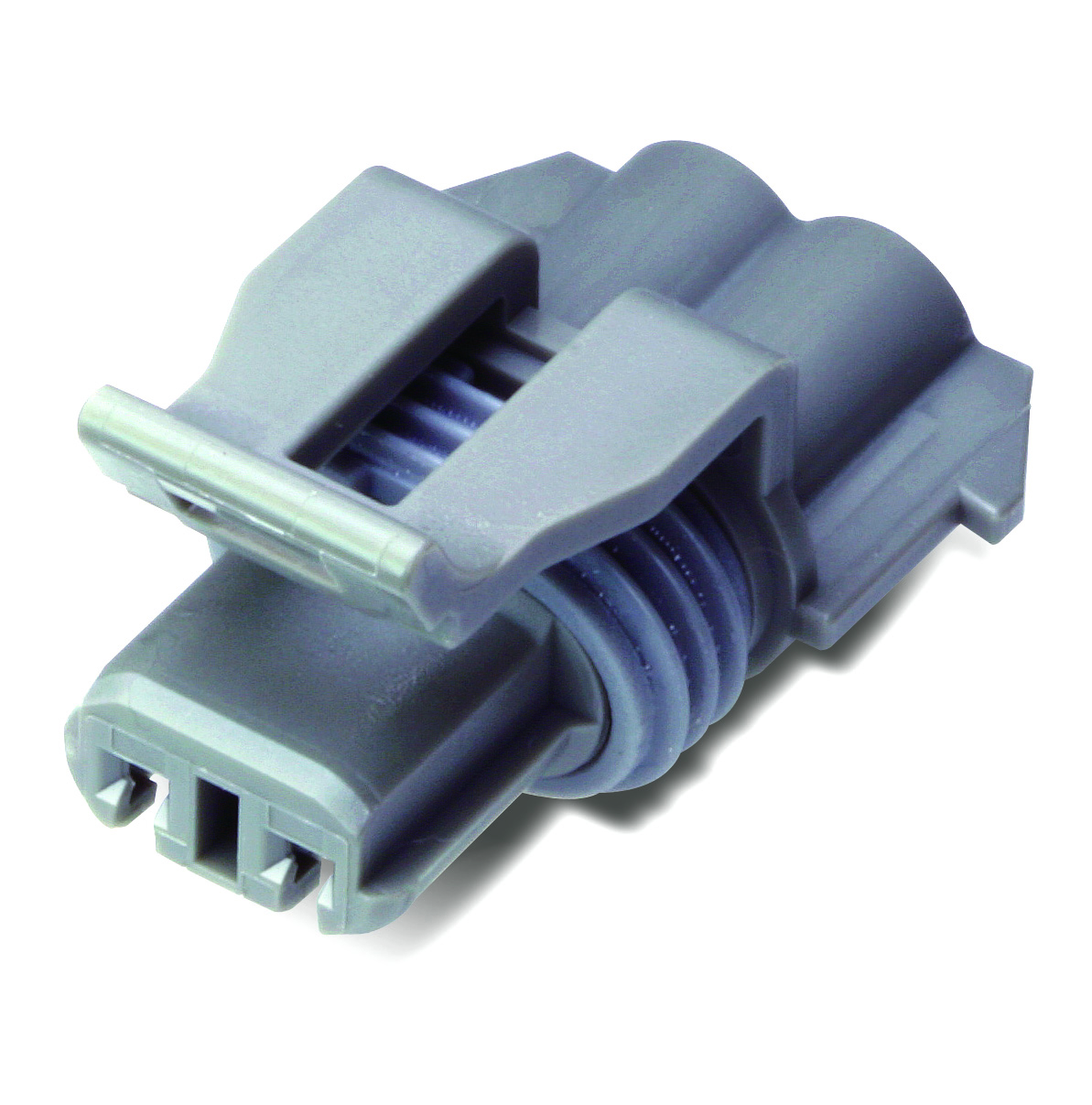MG654467-4