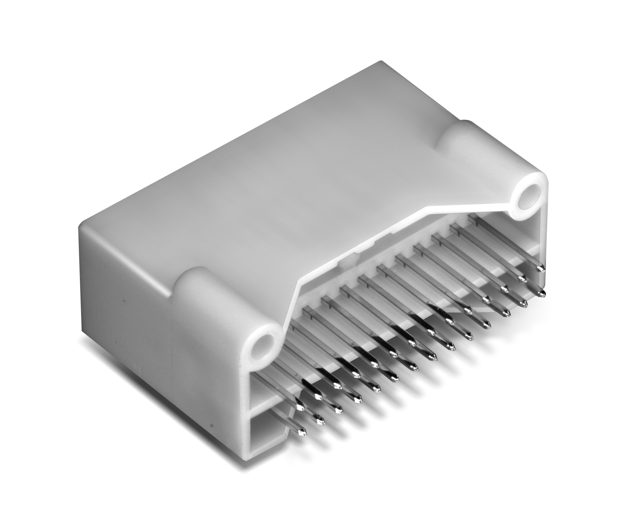 MG645119