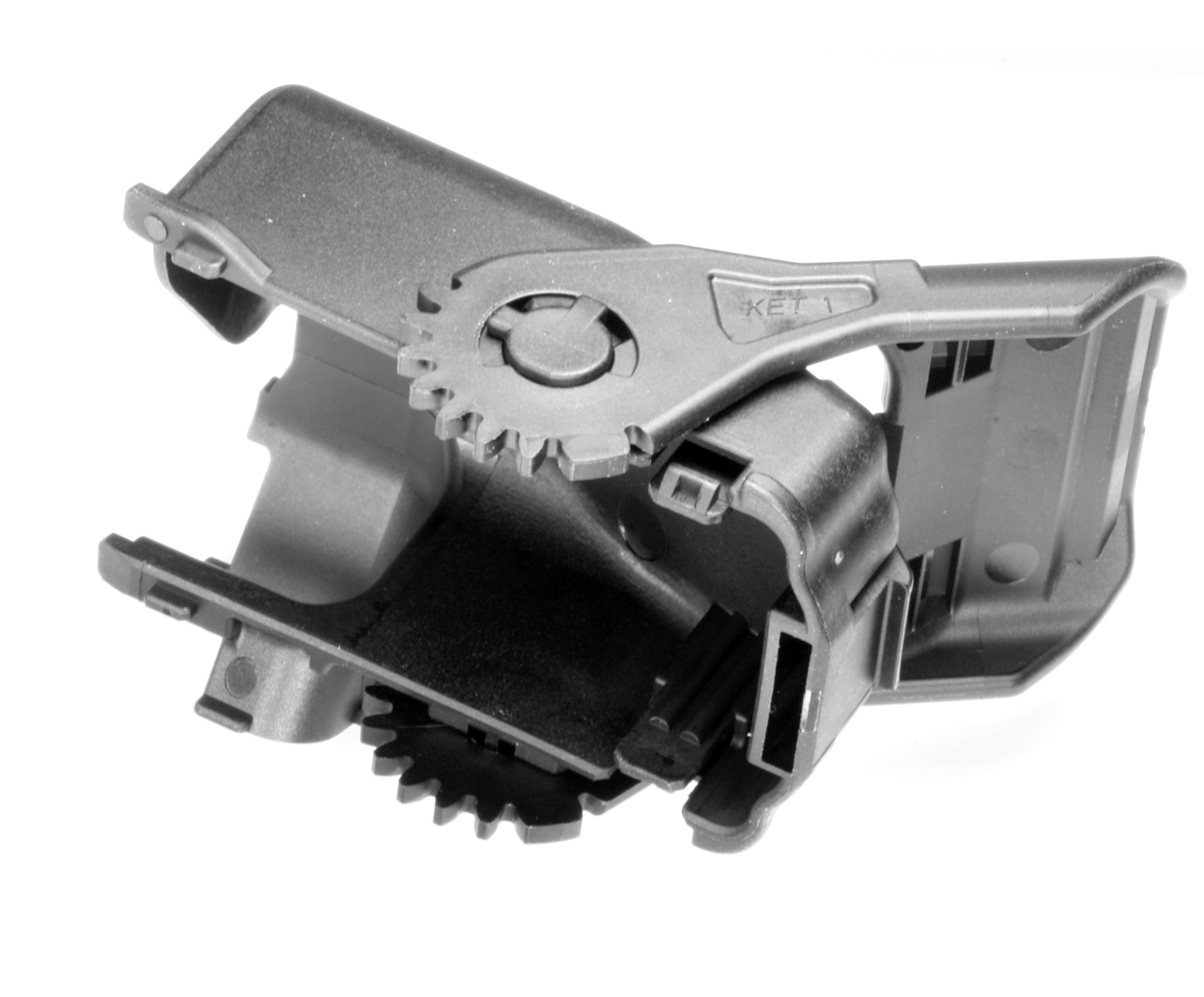 MG665837-5