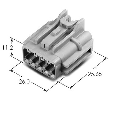 MG613239-41