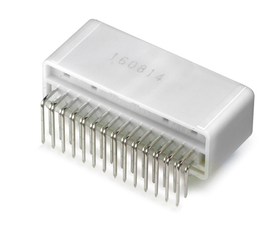 MG645895