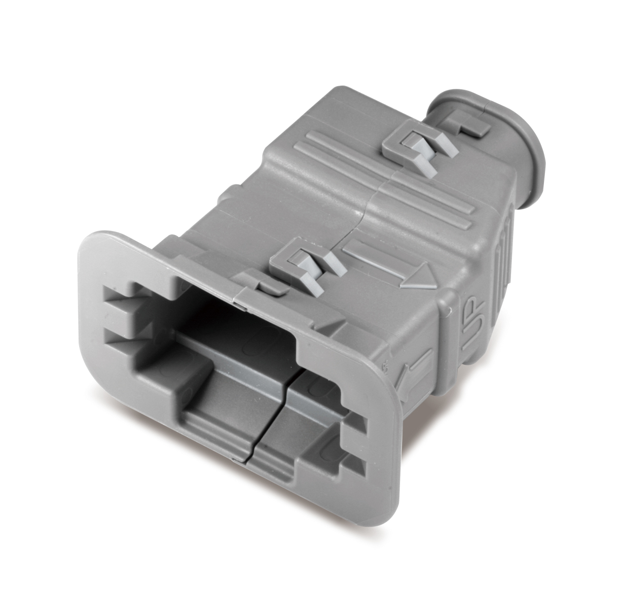 MG635889-4