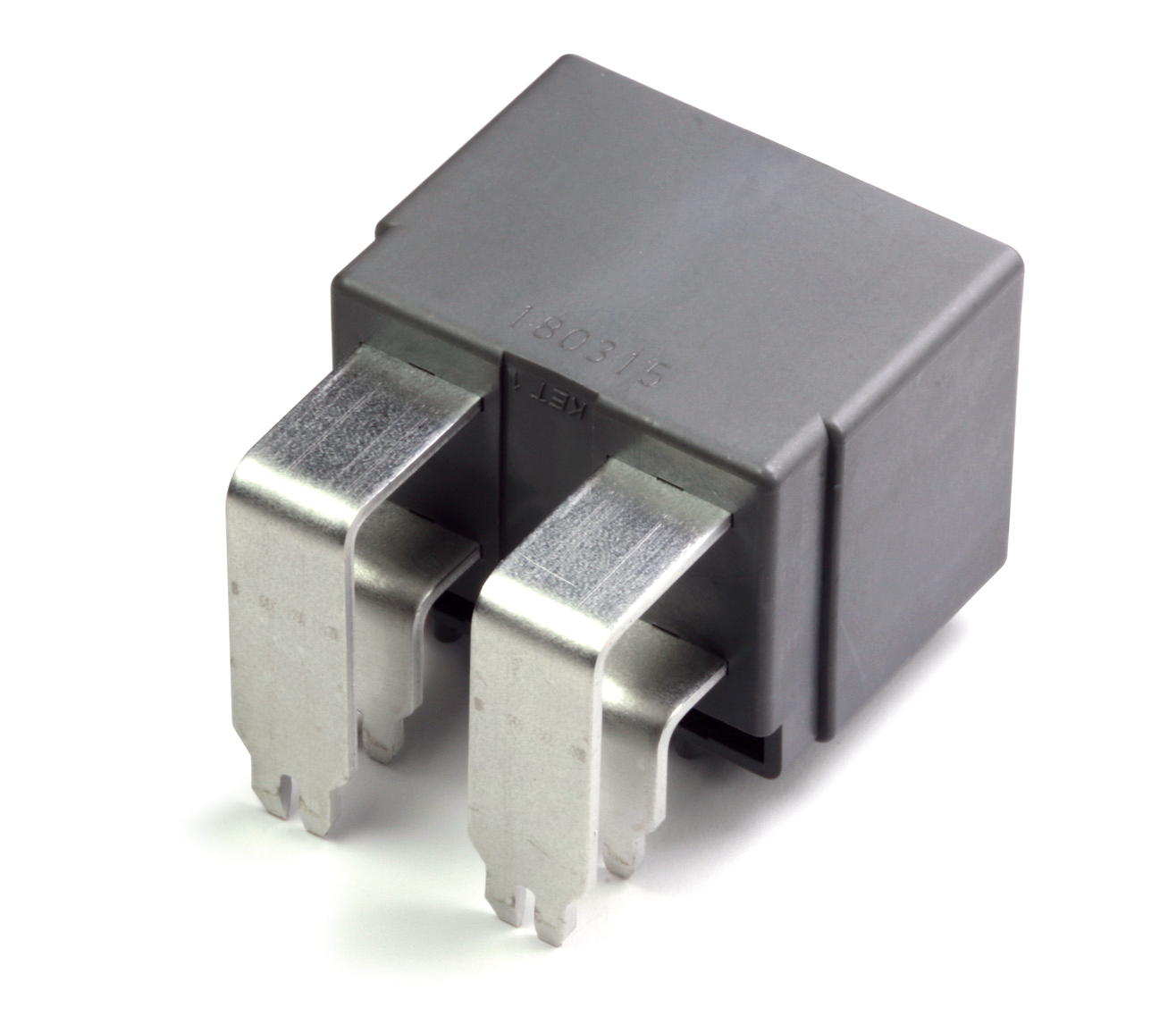 MG646137-40