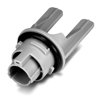 MG665025-41