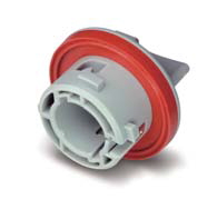 MG665658-4