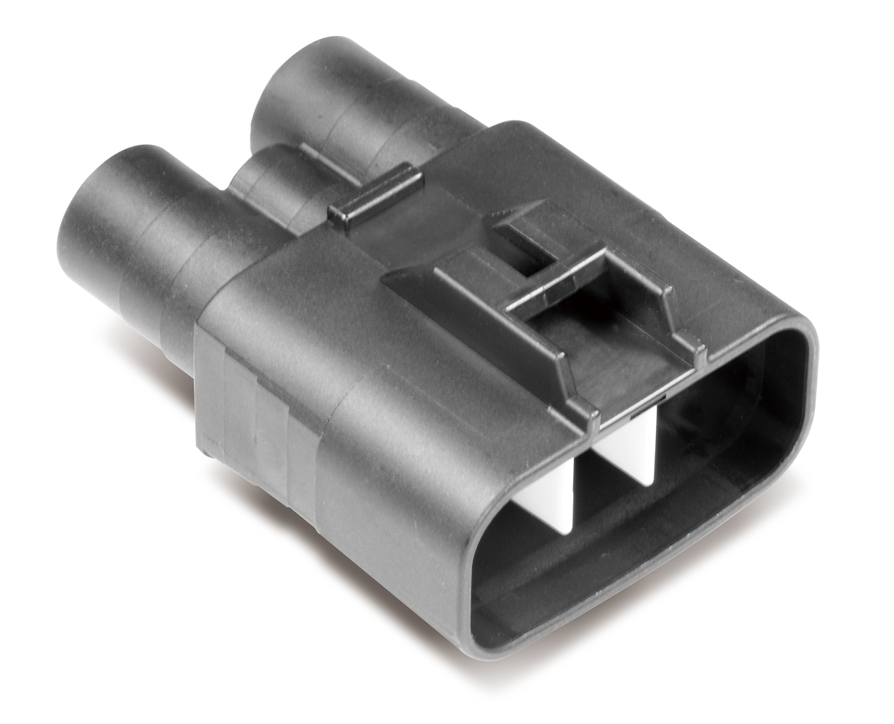 MG646045-5