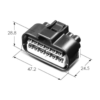 MG641340