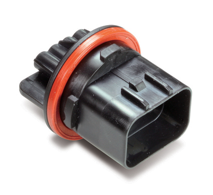MG654349-4