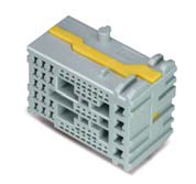 MG655763