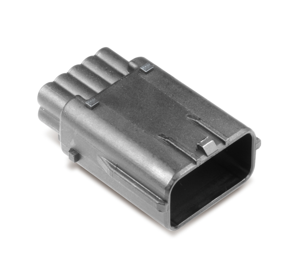 MG646061-5