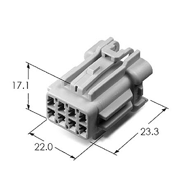 MG613097-40