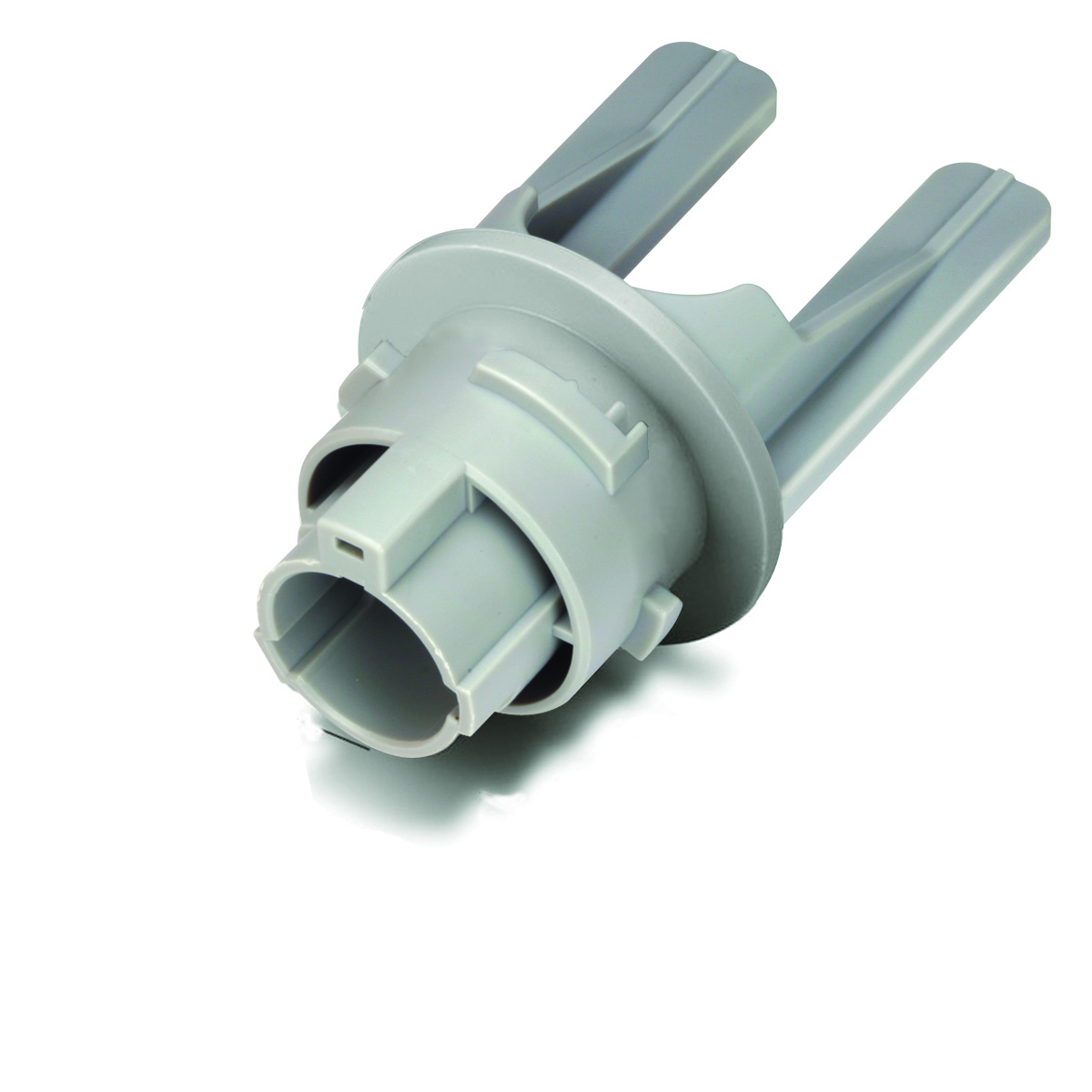 MG635024-41