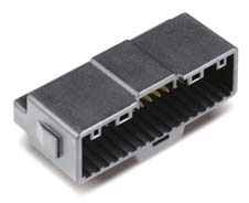 MG645824
