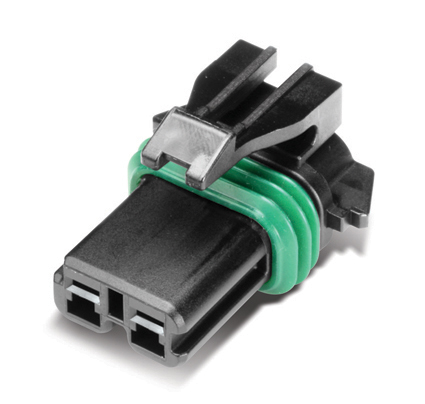MG654446-5