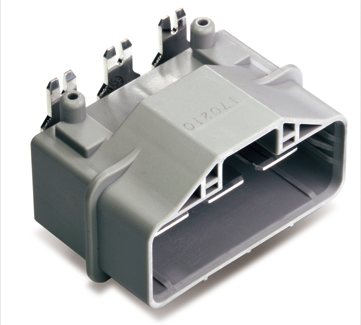 MG646010-40