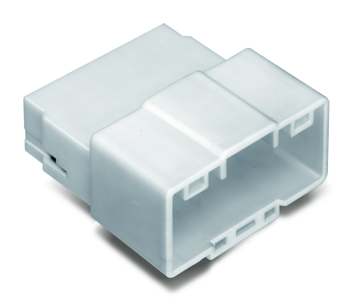 MG645620