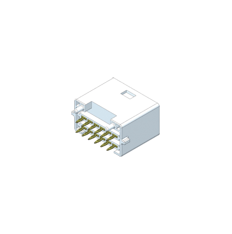 MG646093