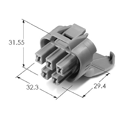 MG641521-40
