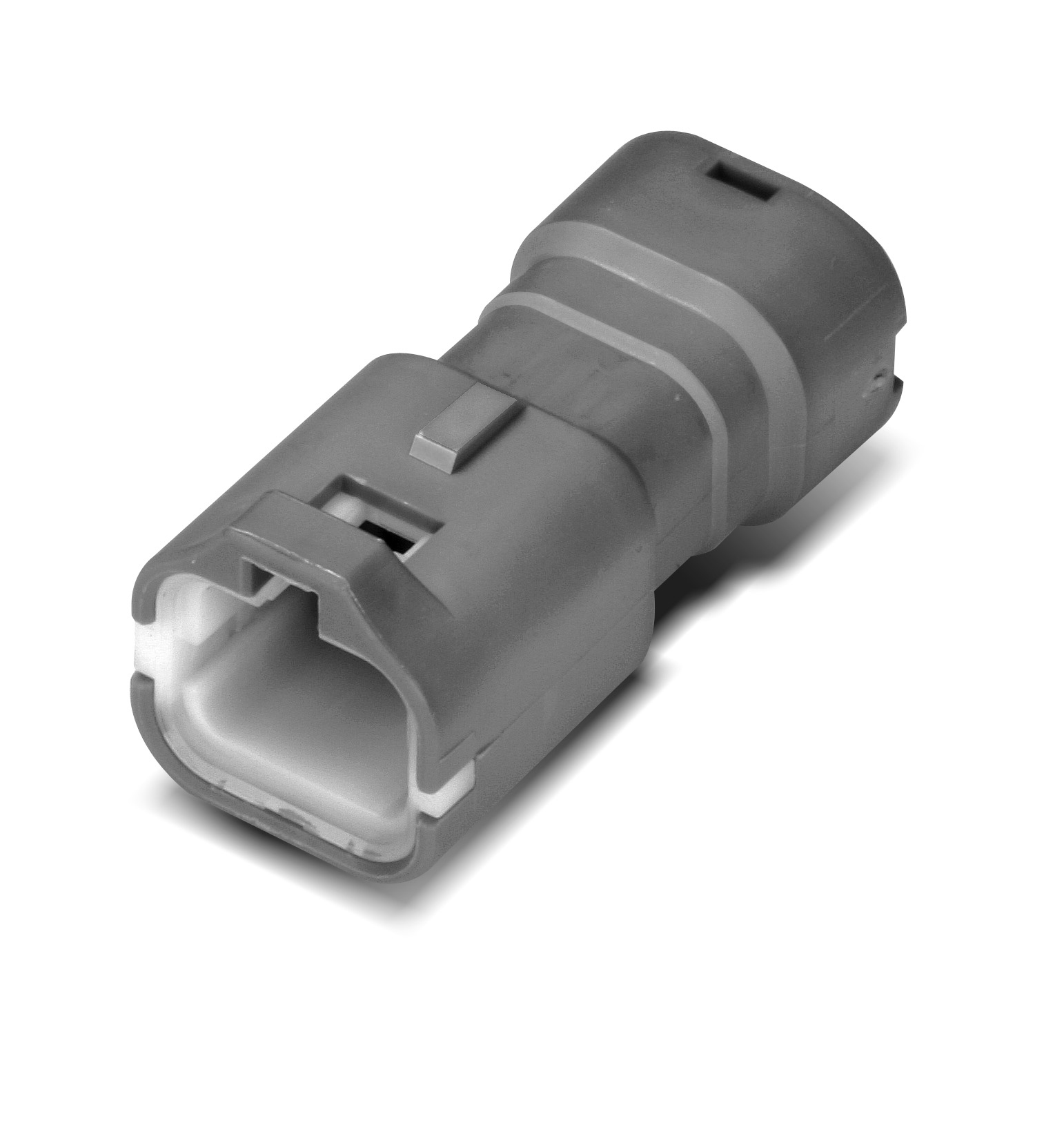 MG644483-4