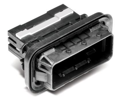 MG654391