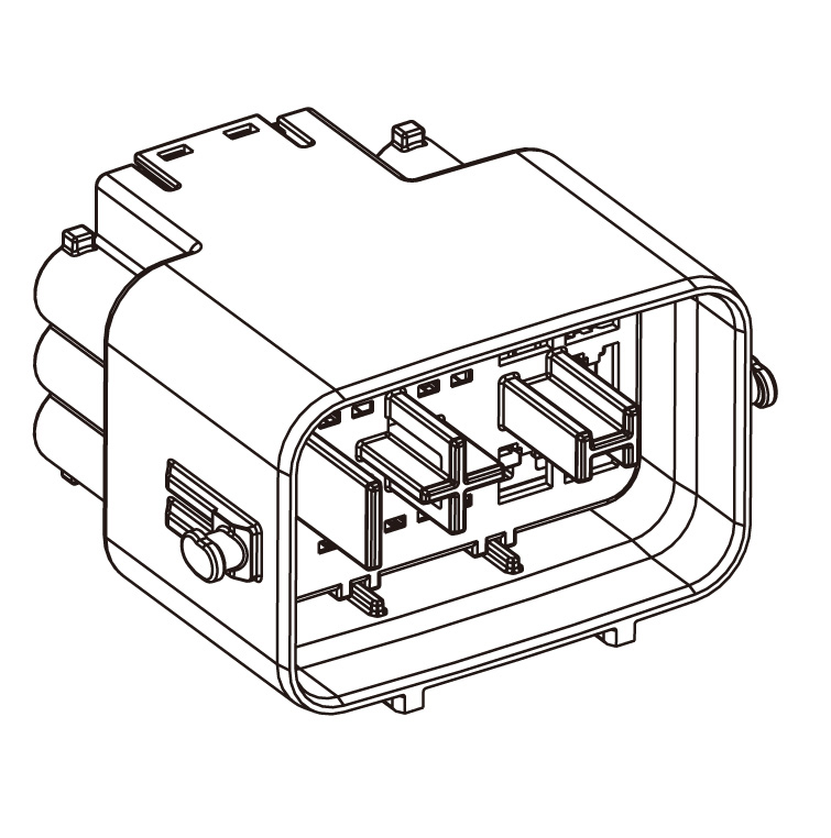 MG646193-5