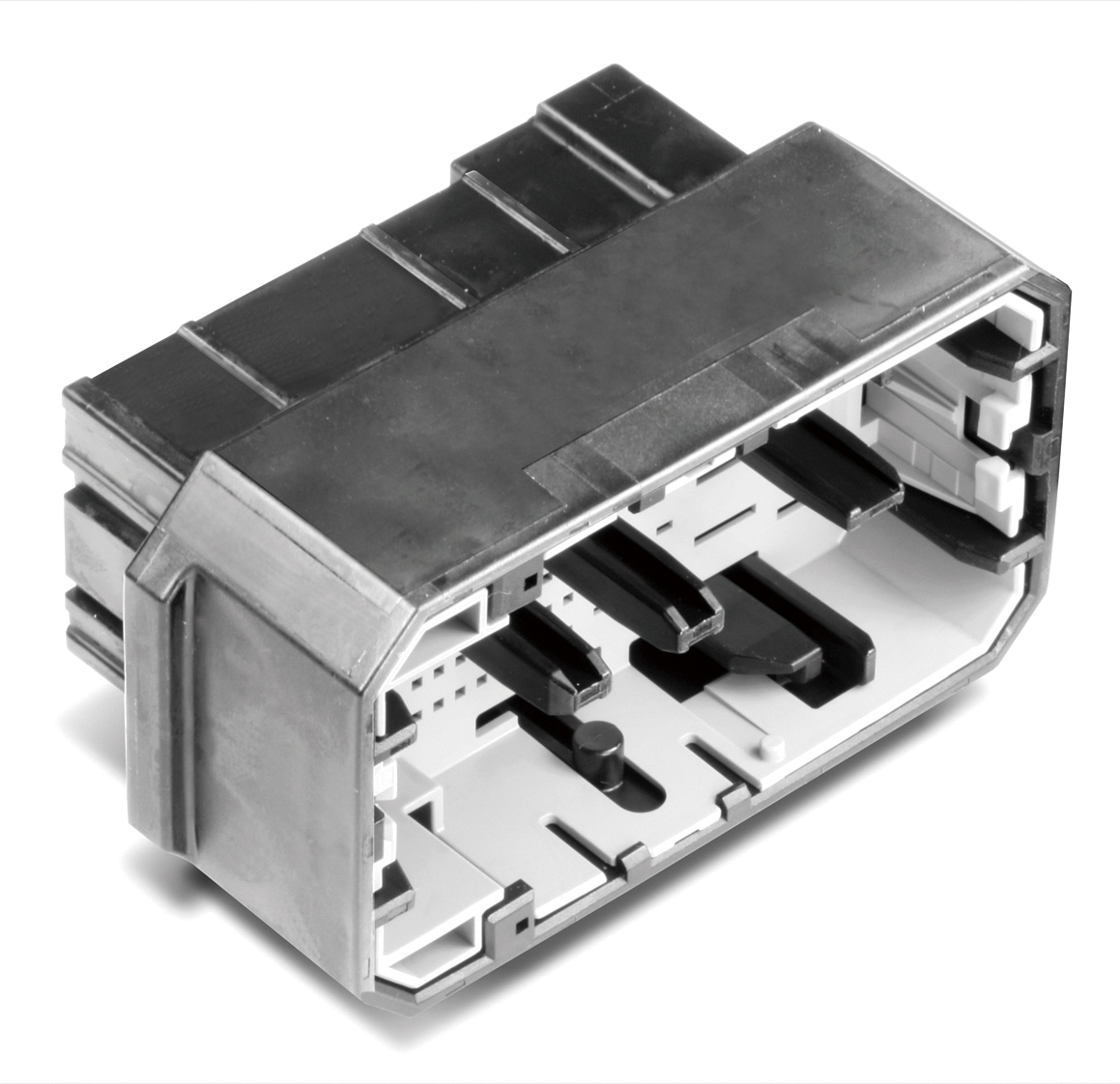 MG645921-5