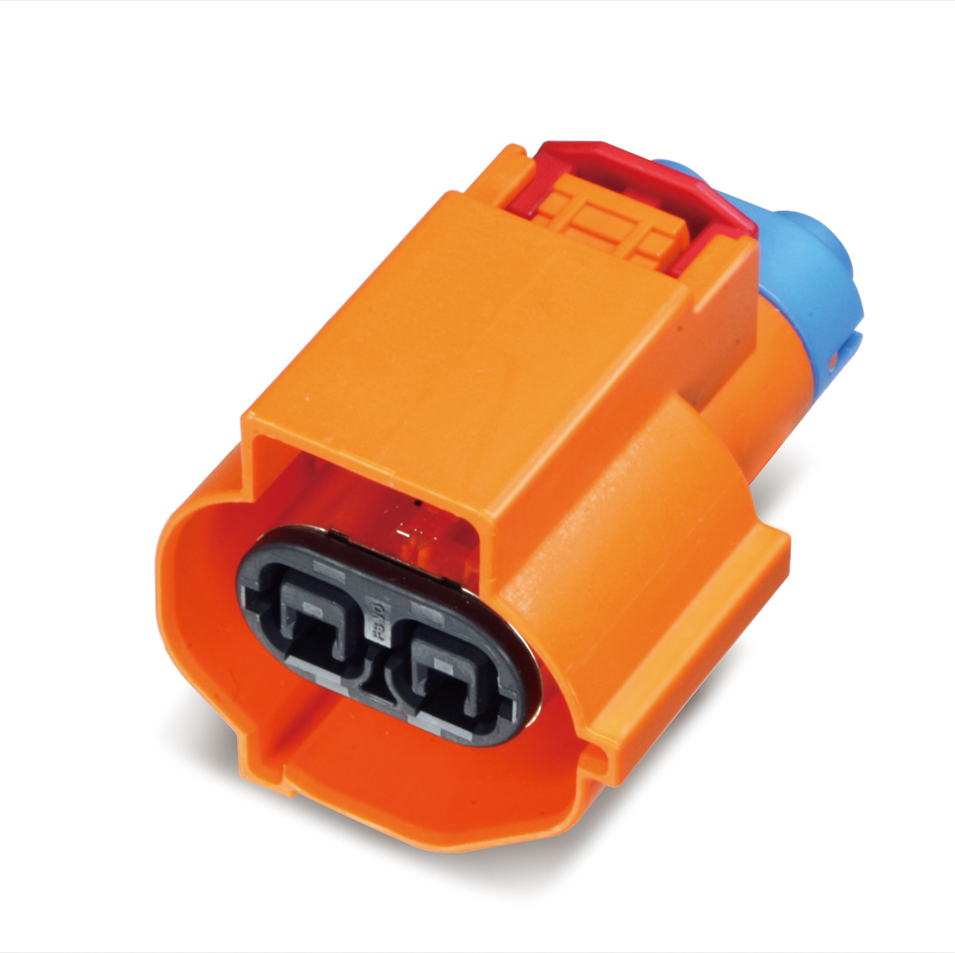 MG656972-11