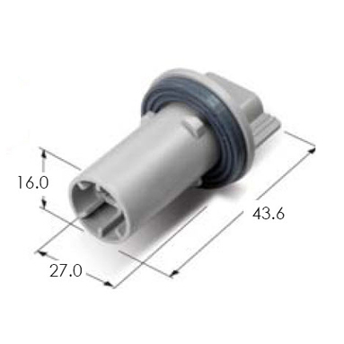 MG663671-41