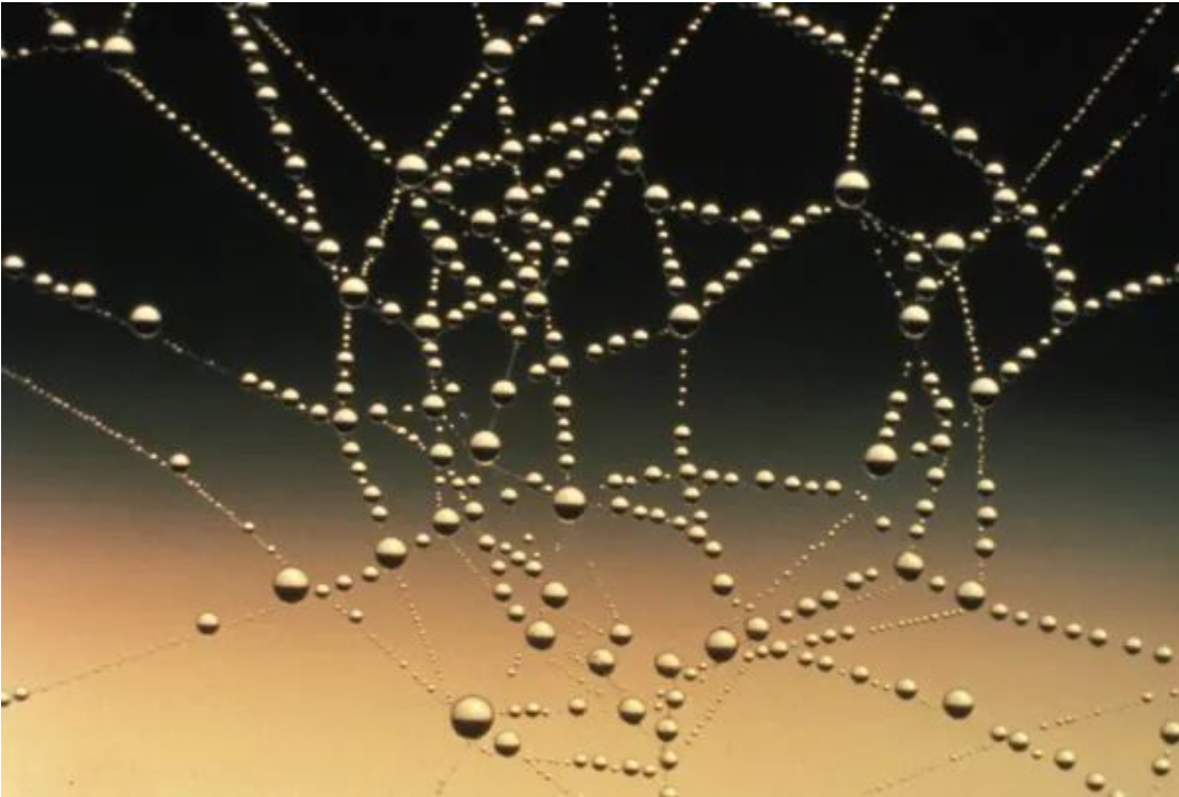 盘点一下2021年连接器行业收购的那些事