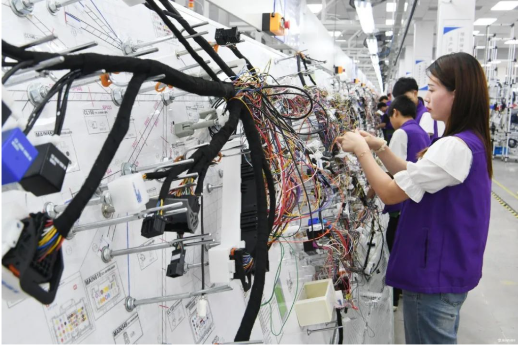 “智能制造”助力亳州立讯线束厂转型升级