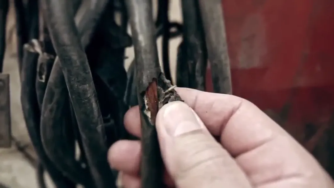 283f94380e56c967225892541d94319.png 283f94380e56c967225892541d94319.png