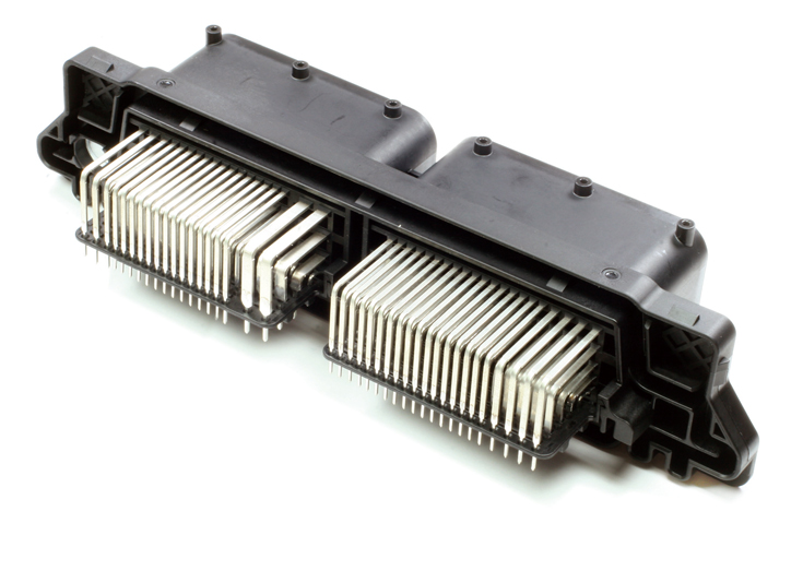 MG646015-5
