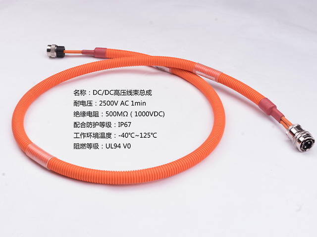 _DSC4480-DC/DC高压线束总成-柳州双飞