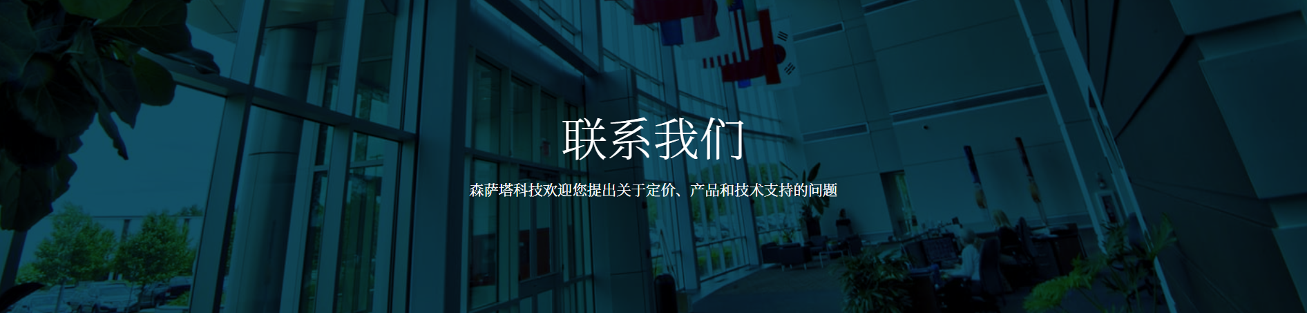 Sensata（森萨塔）