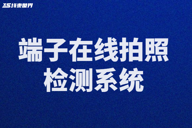 端子在线拍照检测系统