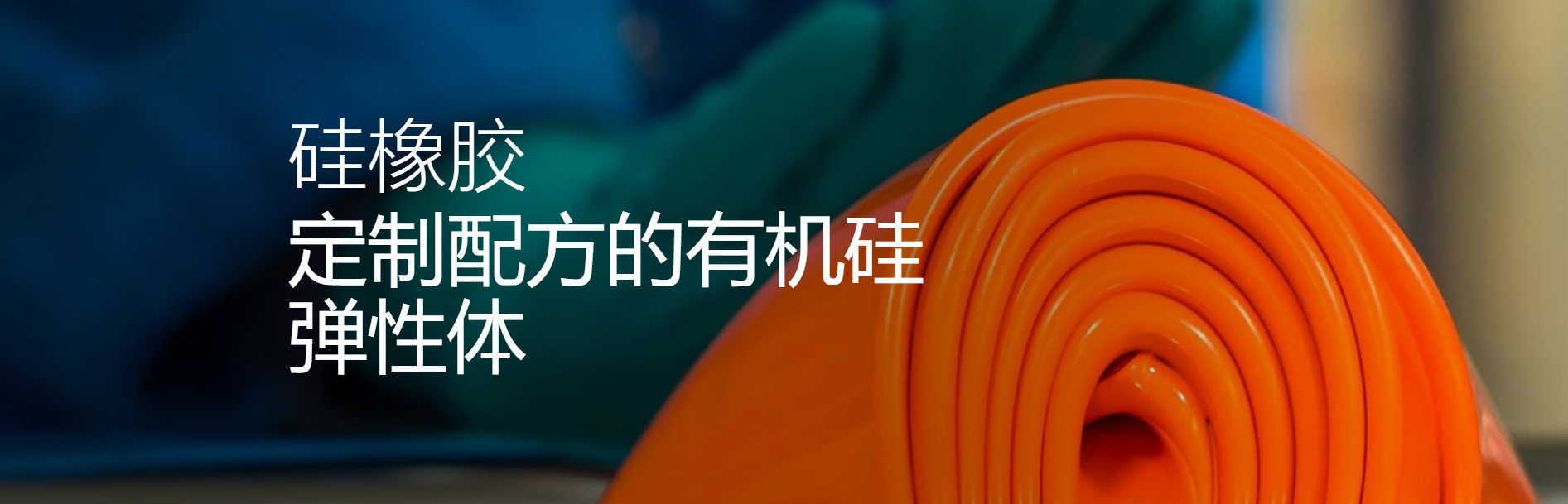 埃肯有机硅(上海)有限公司