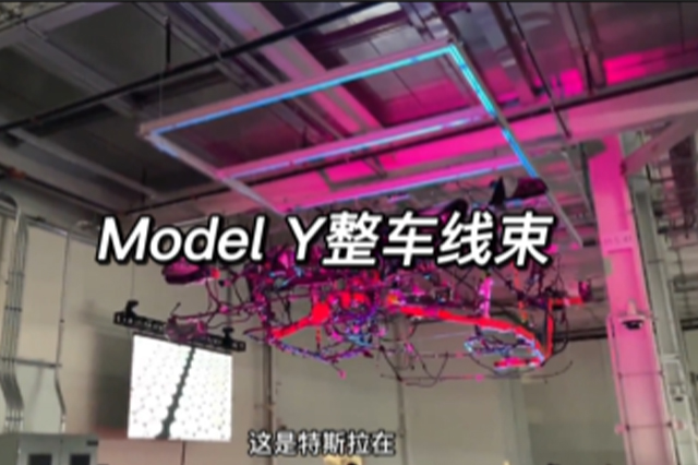 特斯拉Model Y整车线束