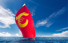 深圳中电港技术股份有限公司