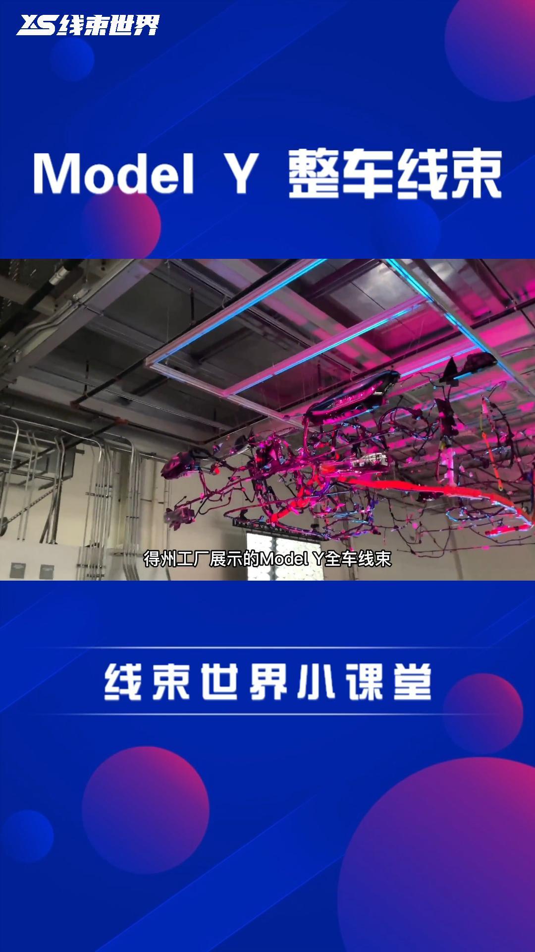 特斯拉Model Y整车线束一览，电线长度约为1500m